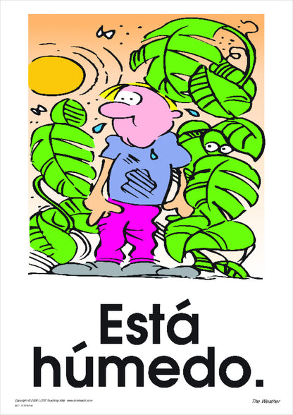 The Weather Vocabulary Cards