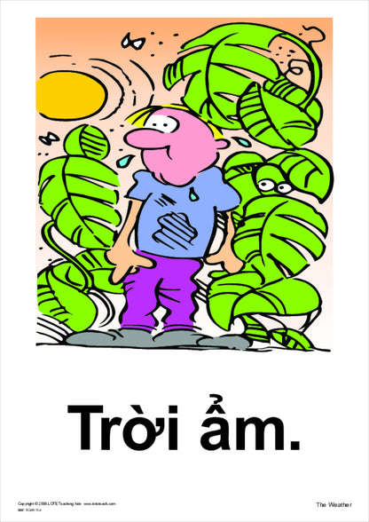 The Weather Vocabulary Cards