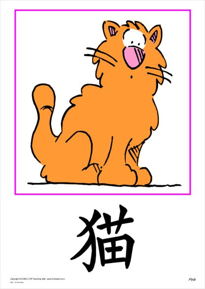 Pets Vocabulary Cards