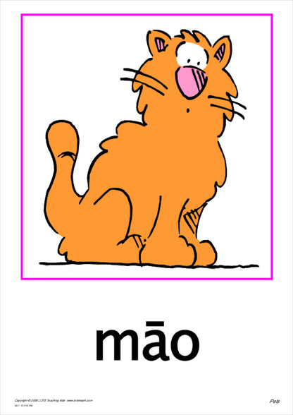 Pets Vocabulary Cards