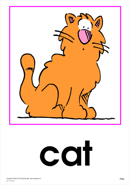 Pets Vocabulary Cards