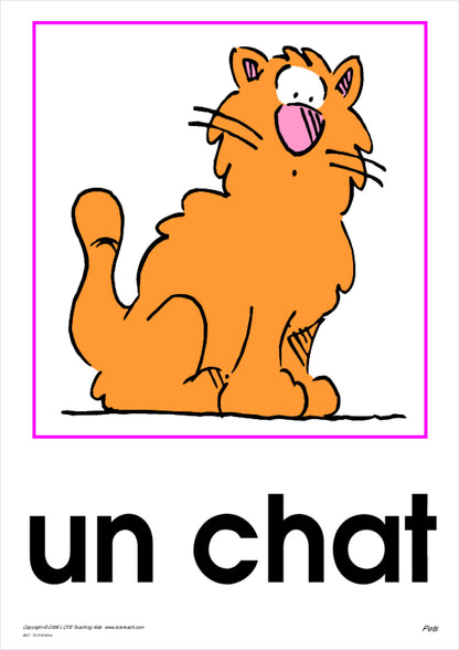 Pets Vocabulary Cards