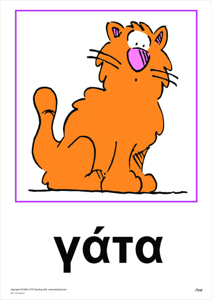 Pets Vocabulary Cards