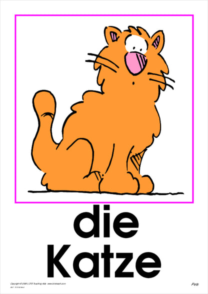 Pets Vocabulary Cards