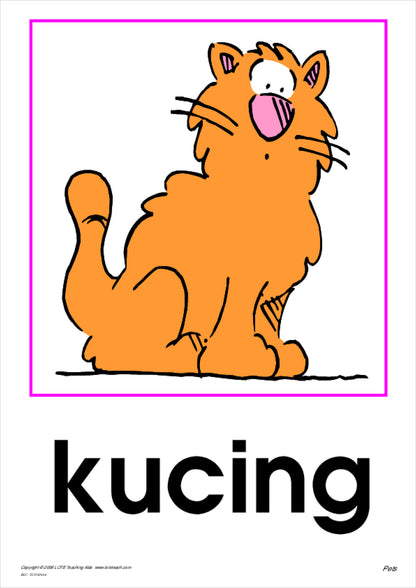 Pets Vocabulary Cards