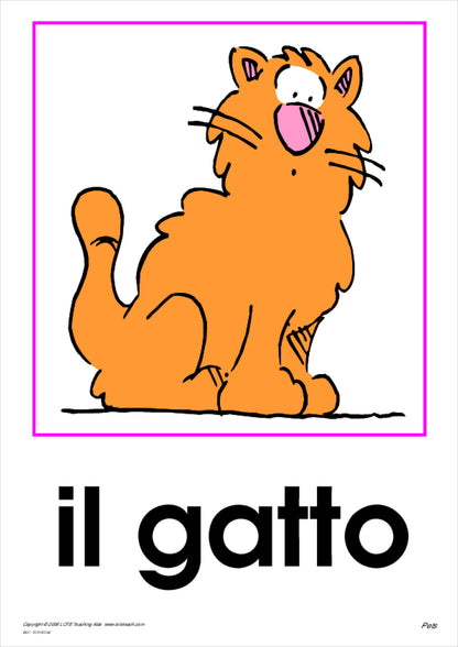 Pets Vocabulary Cards