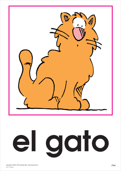 Pets Vocabulary Cards
