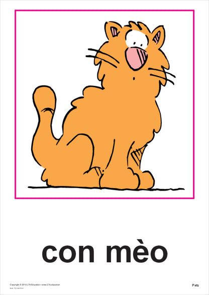 Pets Vocabulary Cards