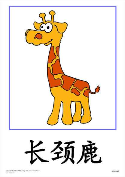 Animals Vocabulary Cards