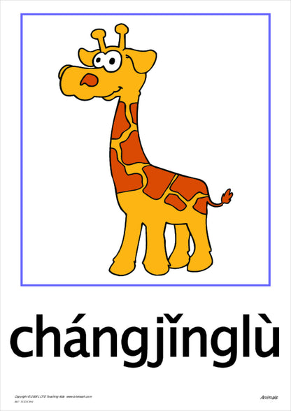 Animals Vocabulary Cards