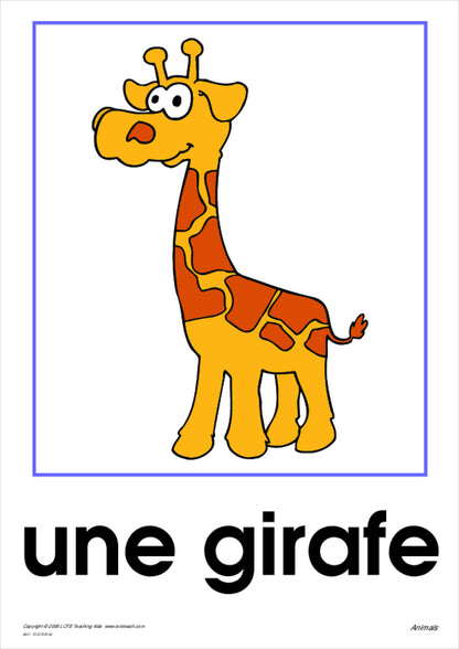 Animals Vocabulary Cards