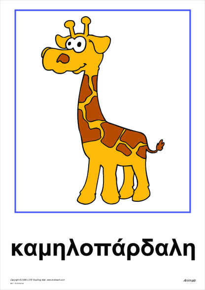 Animals Vocabulary Cards