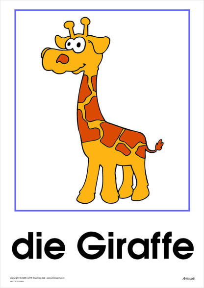 Animals Vocabulary Cards