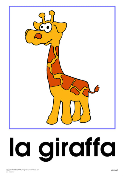 Animals Vocabulary Cards