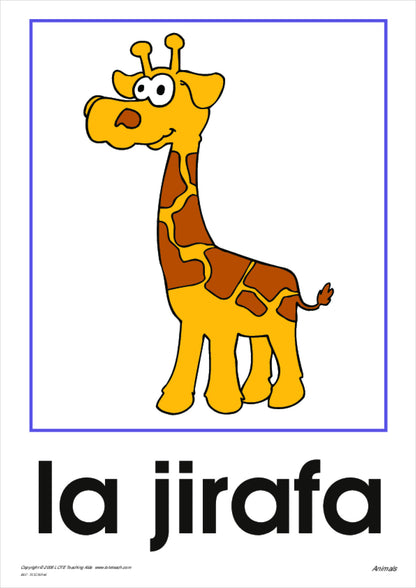 Animals Vocabulary Cards