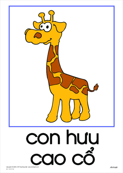 Animals Vocabulary Cards