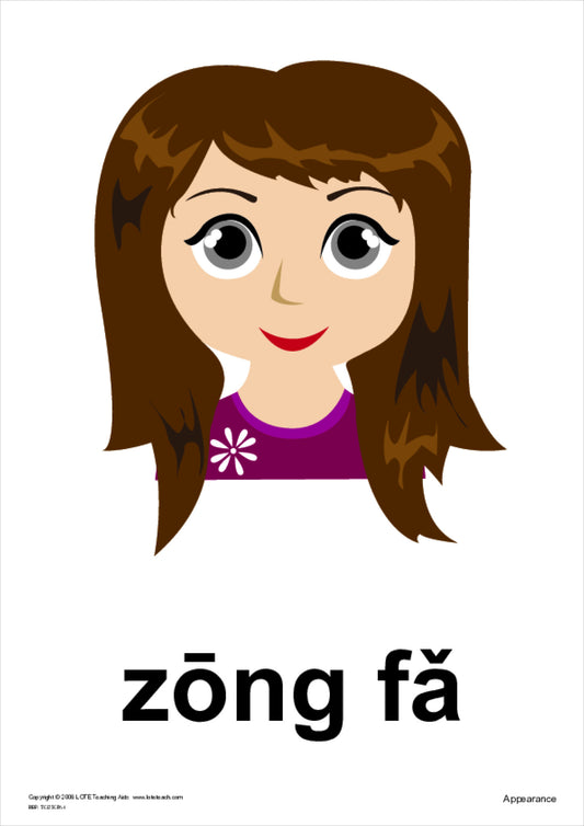 Appearance Theme Cards