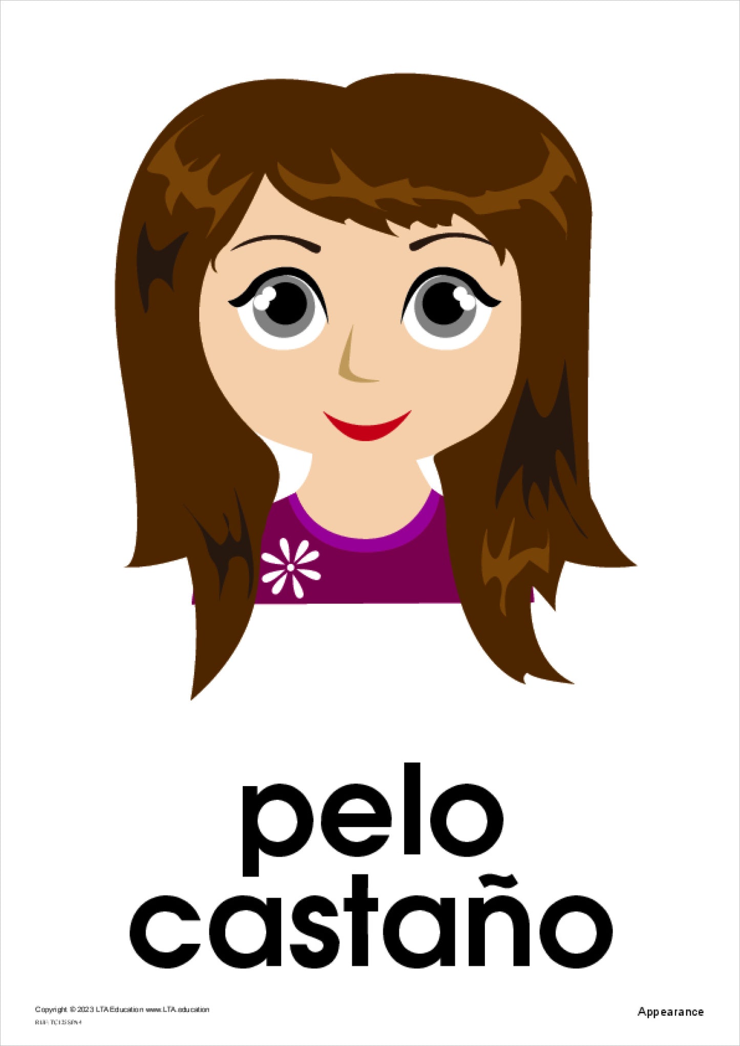 Appearance Theme Cards