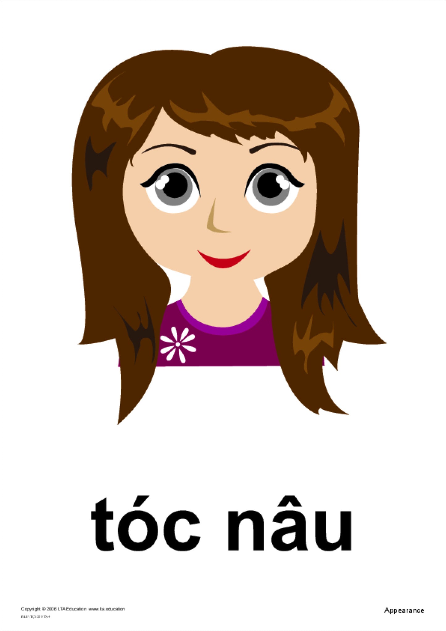 Appearance Theme Cards