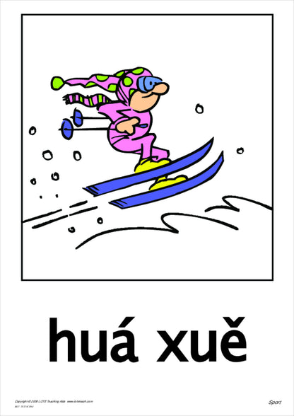 Sport Vocabulary Cards