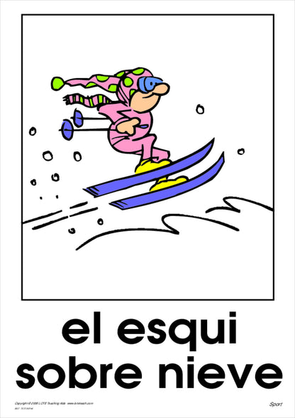 Sport Vocabulary Cards