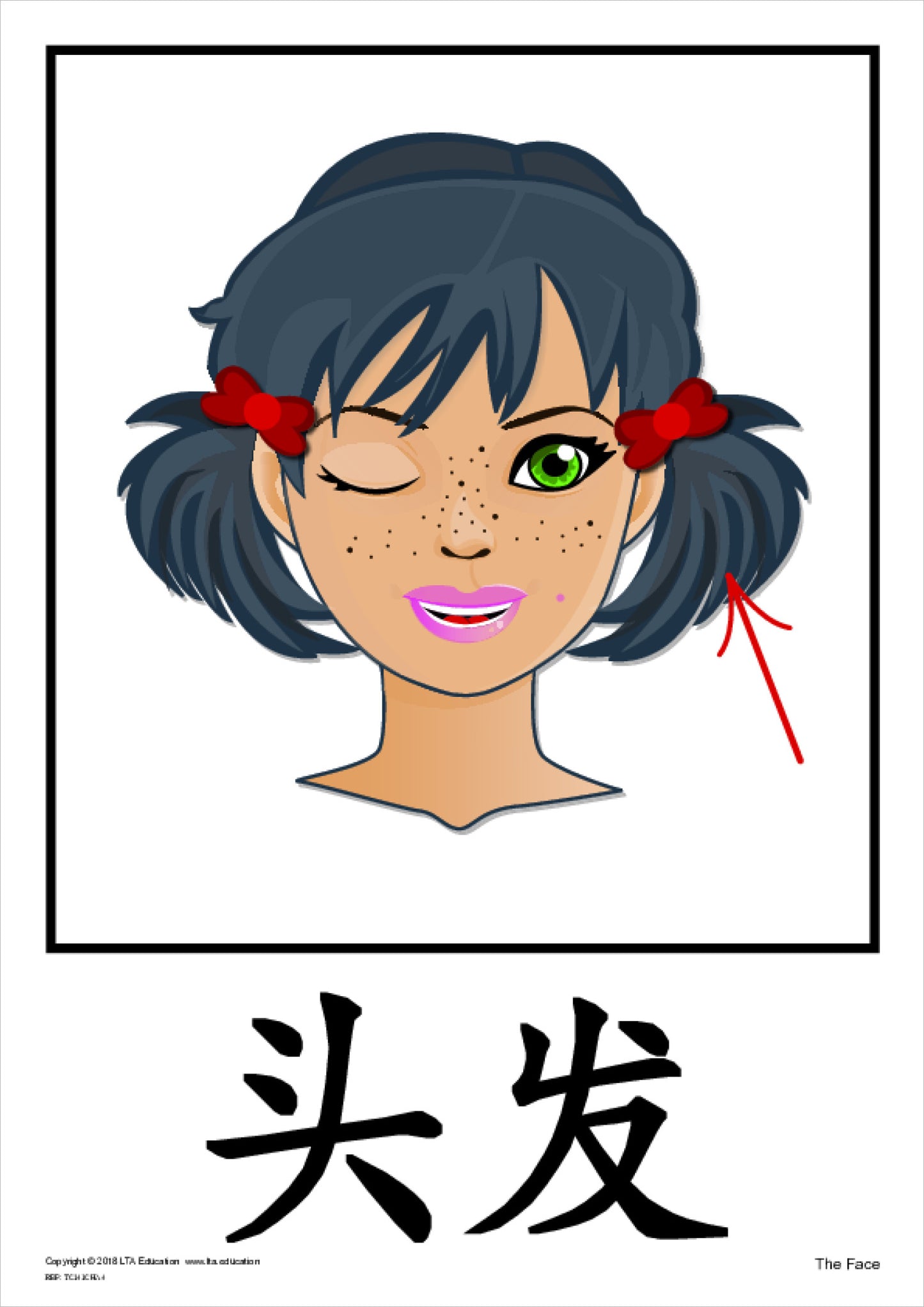 'The Face' Theme Cards