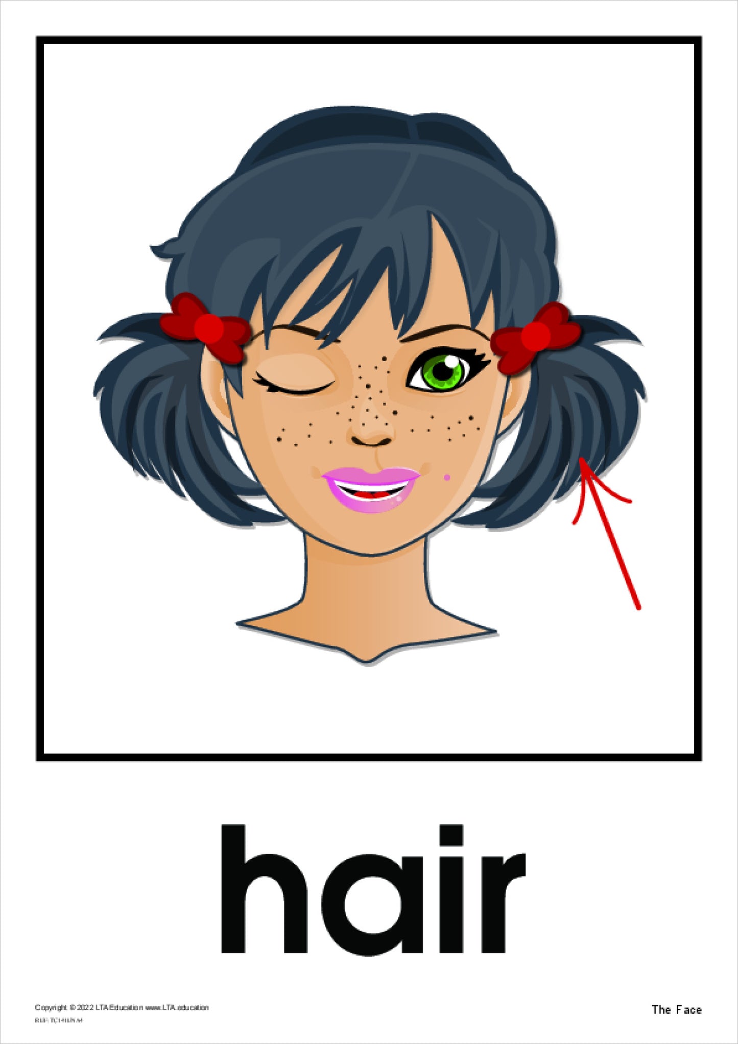 'The Face' Theme Cards