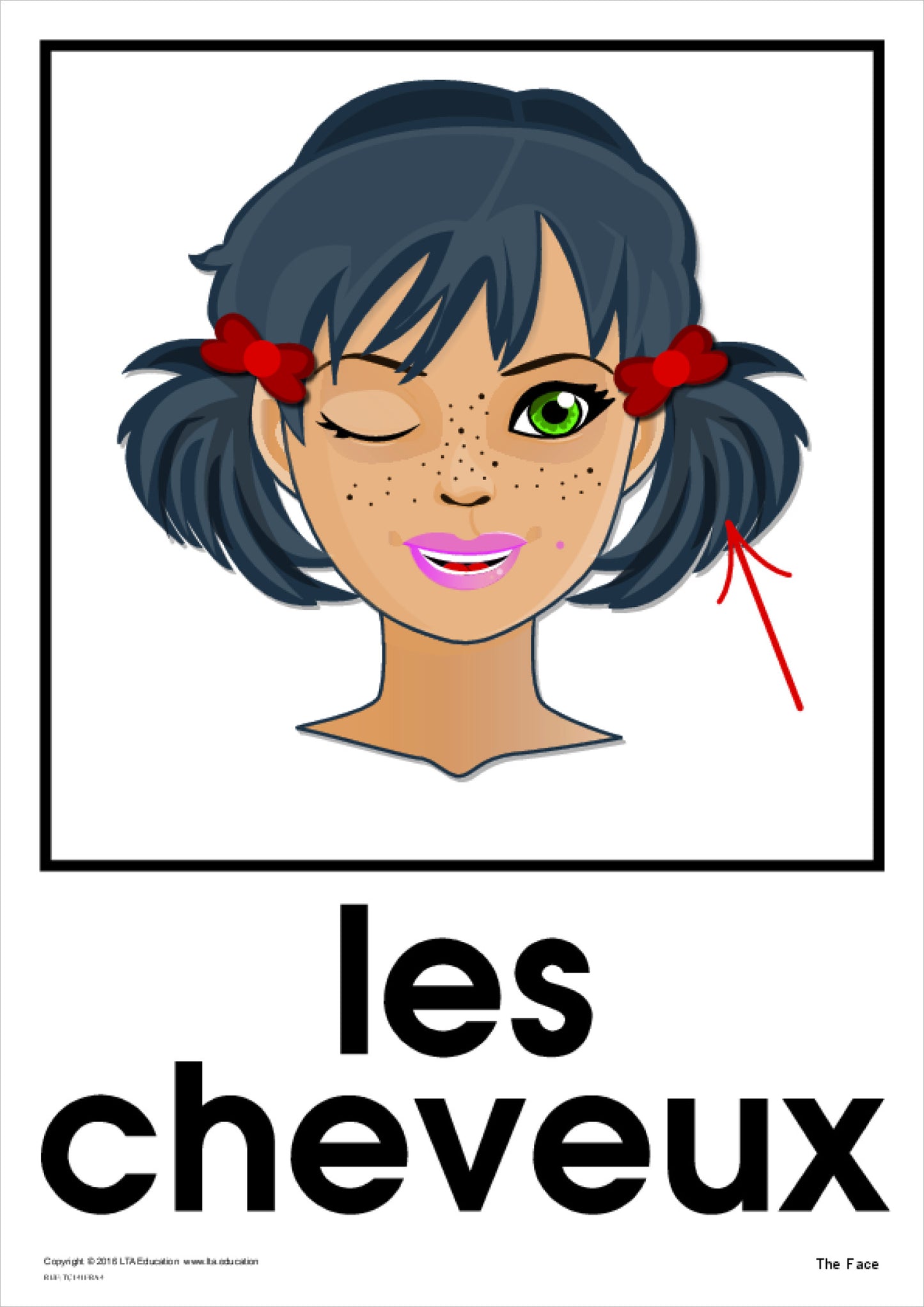 'The Face' Theme Cards