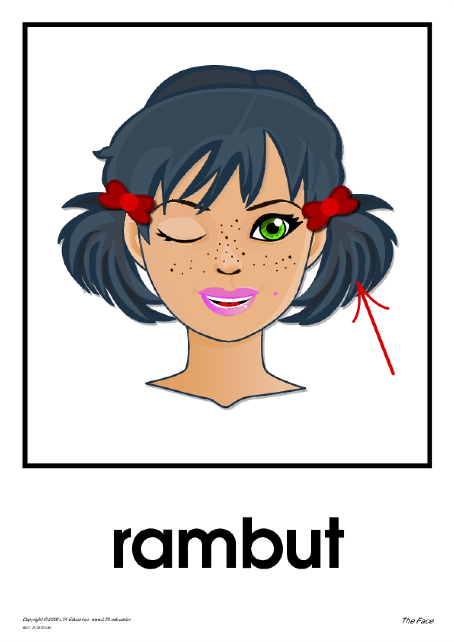 'The Face' Theme Cards