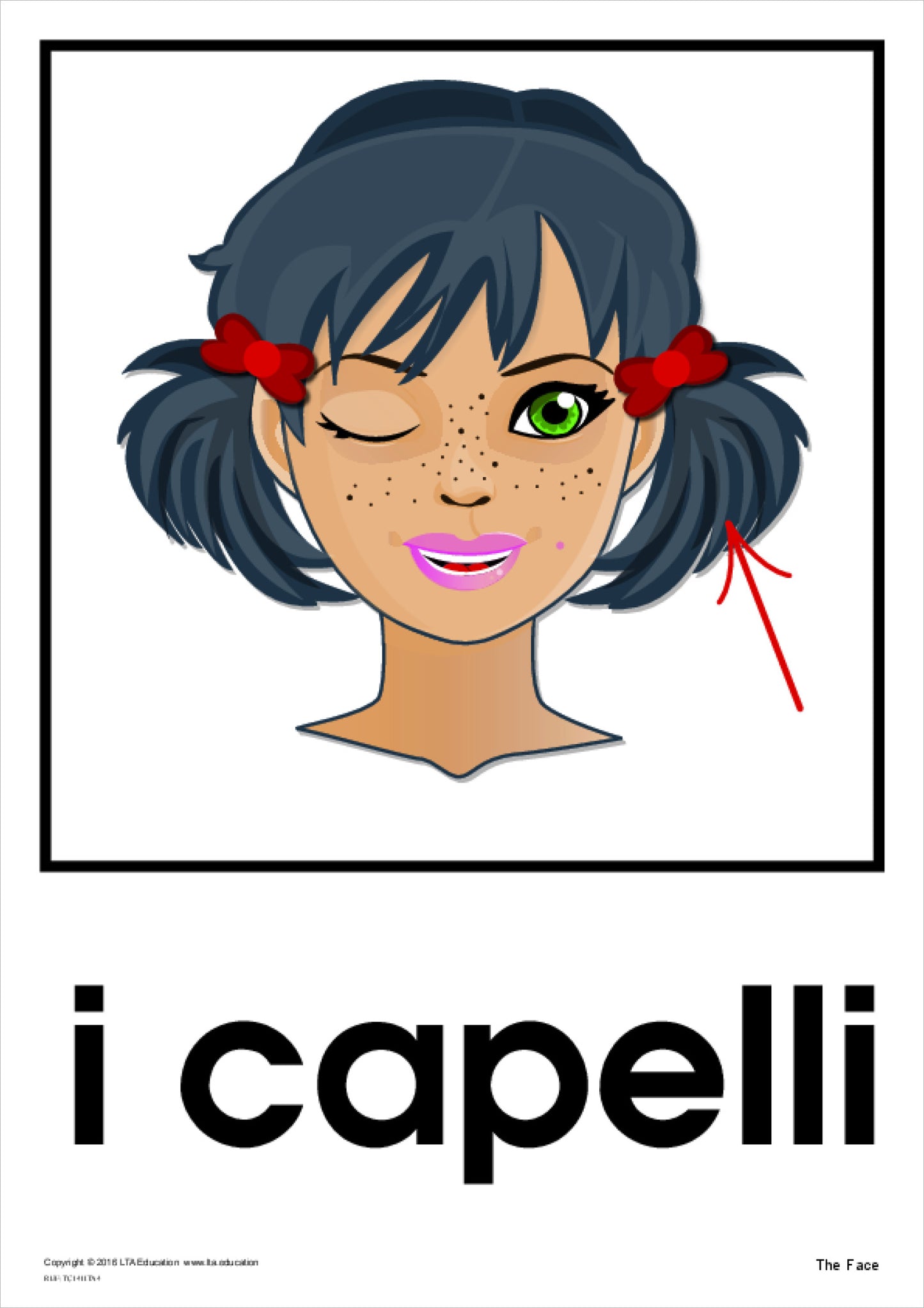 'The Face' Theme Cards