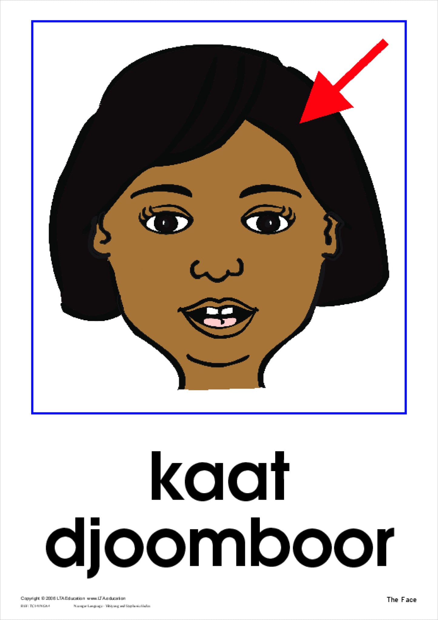 'The Face' Theme Cards