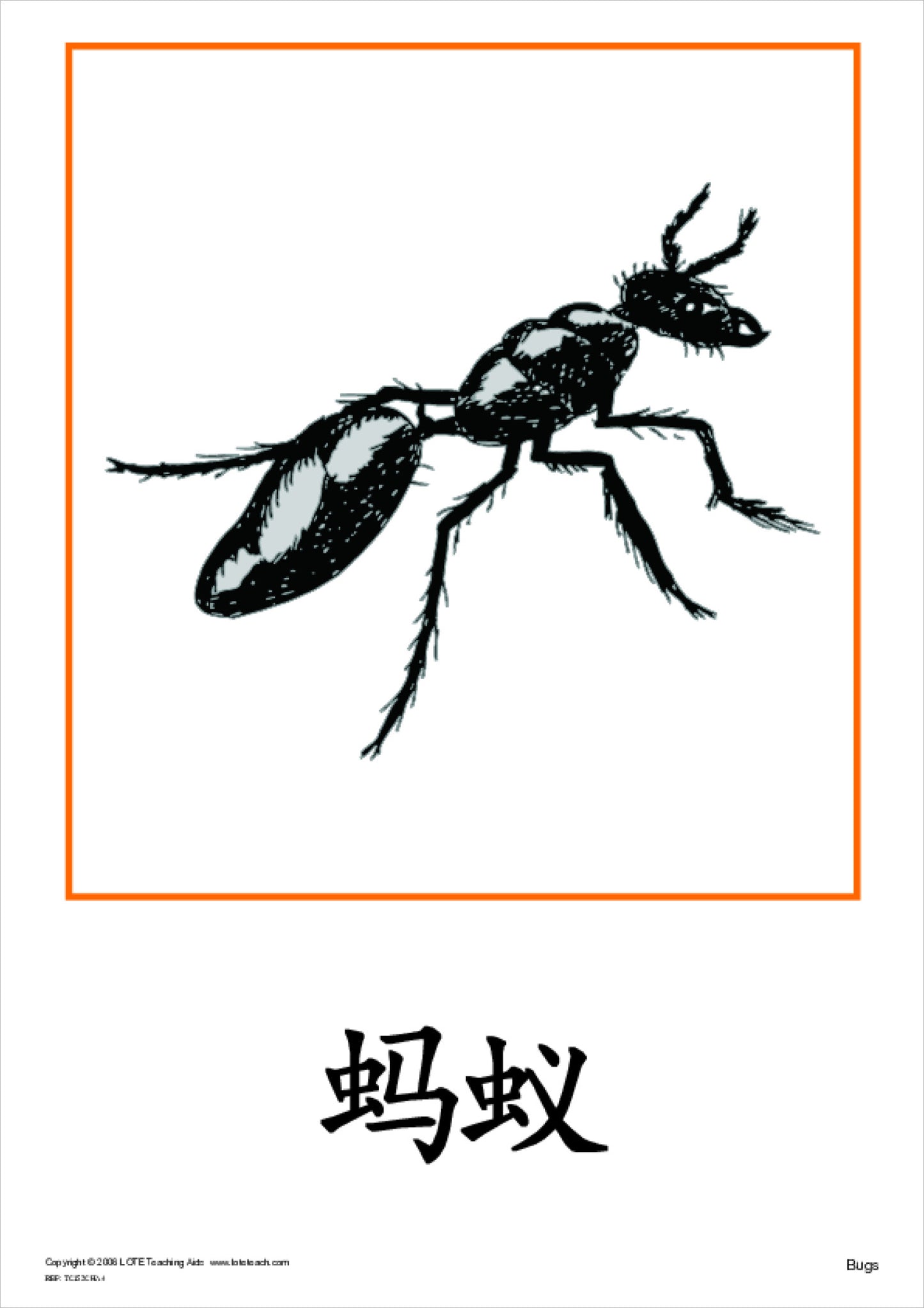 Bugs Theme Cards