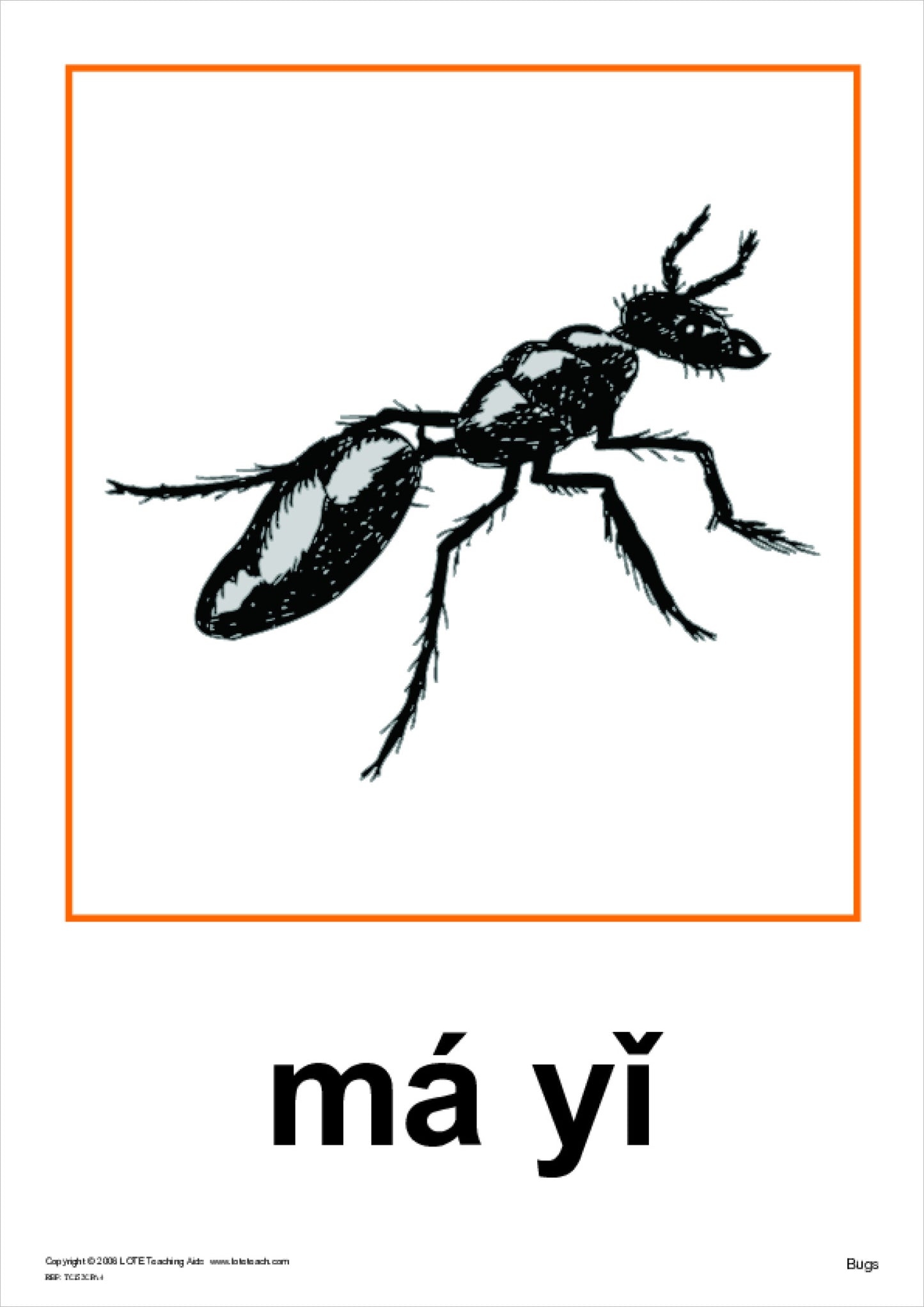Bugs Theme Cards