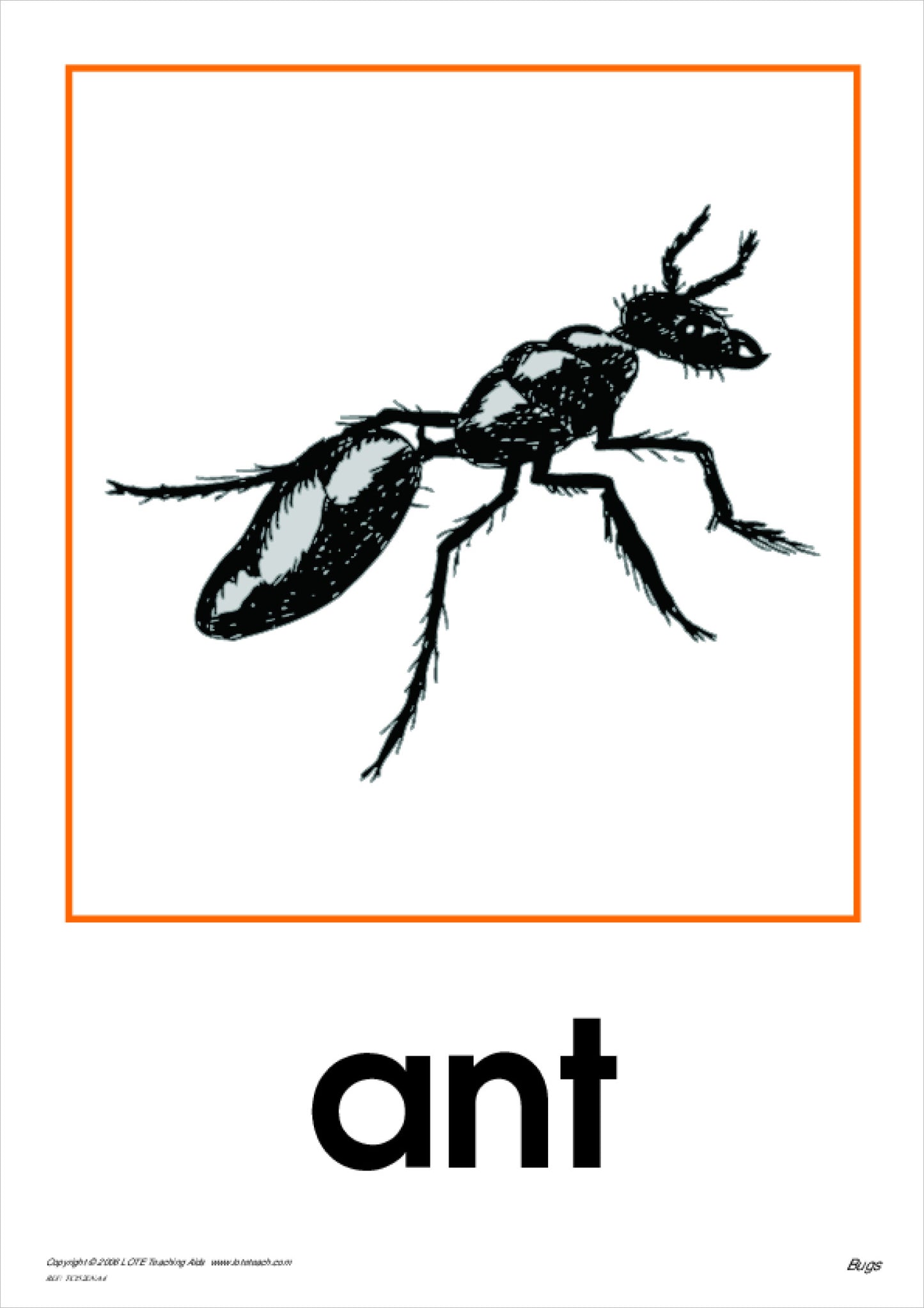 Bugs Theme Cards