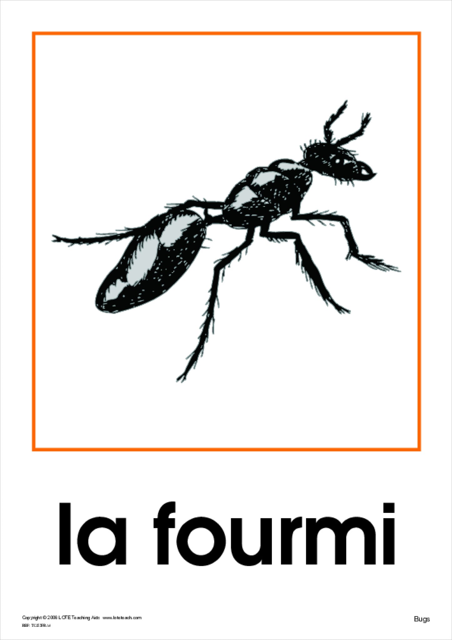Bugs Theme Cards