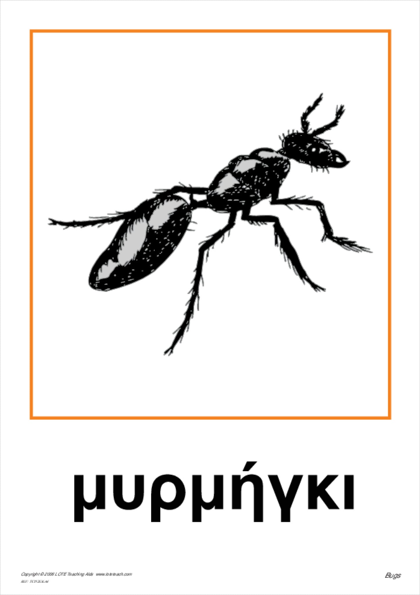 Bugs Theme Cards