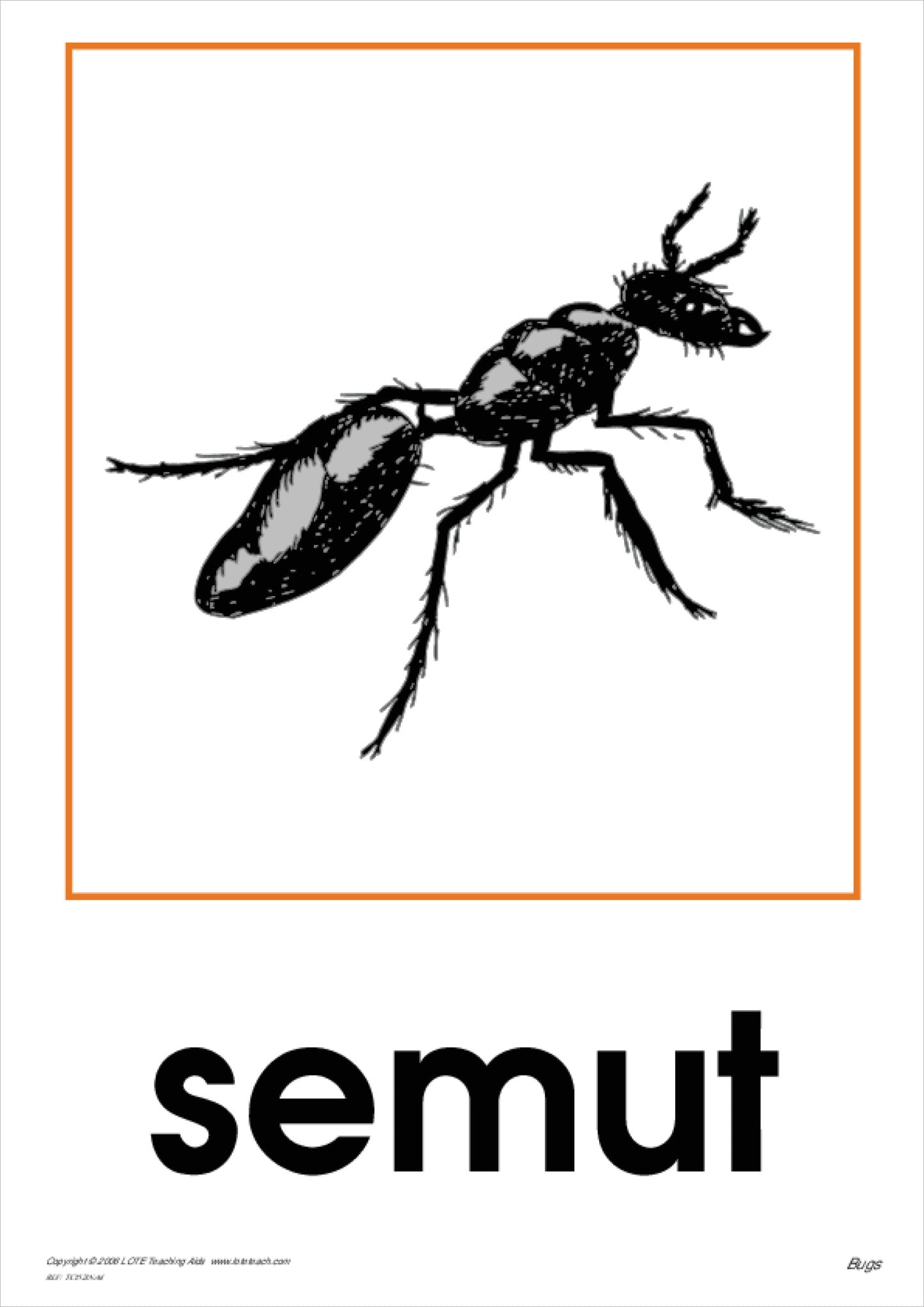 Bugs Theme Cards