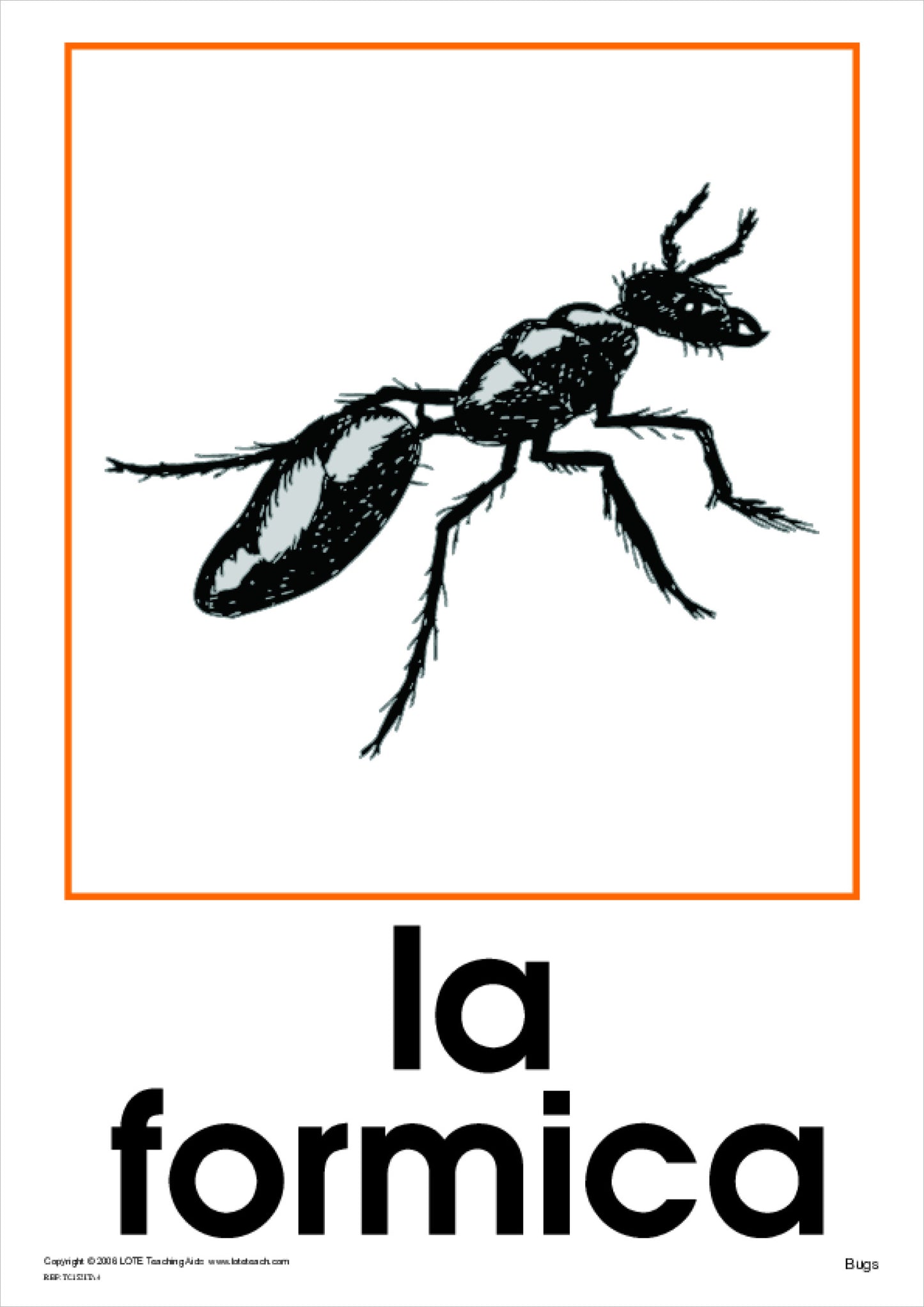 Bugs Theme Cards