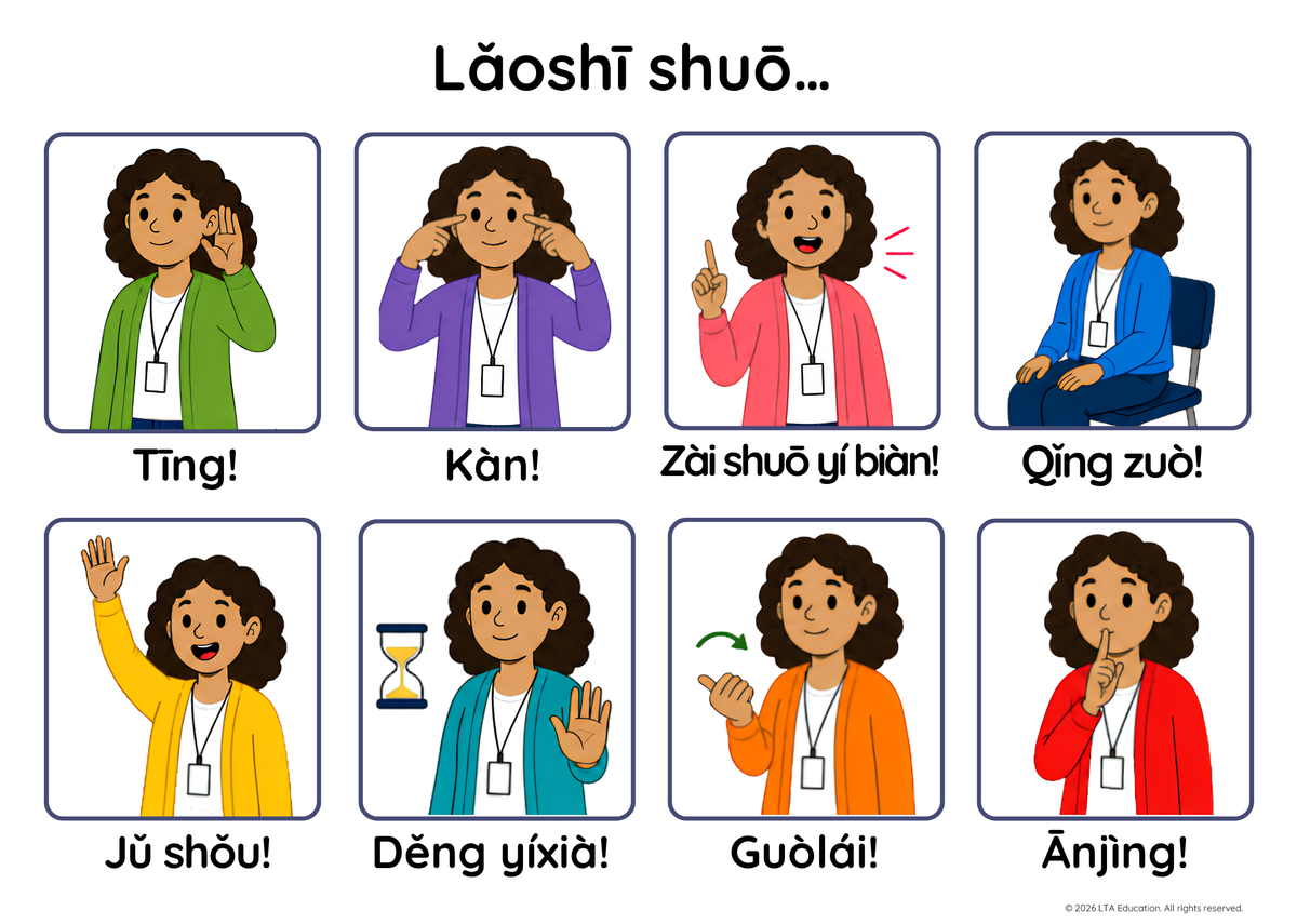 The Teacher Says – Classroom Instructions Chart