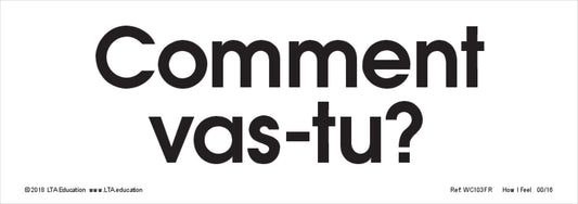 How I Feel Word Cards