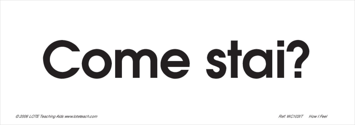 How I Feel Word Cards