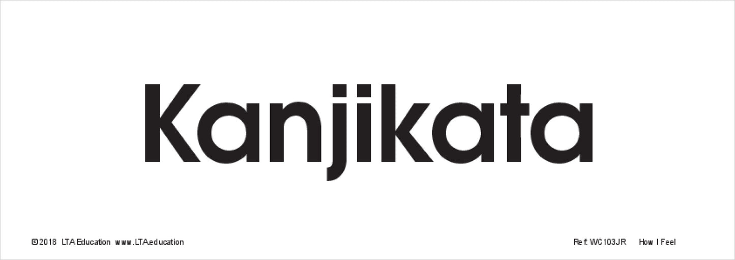 How I Feel Word Cards