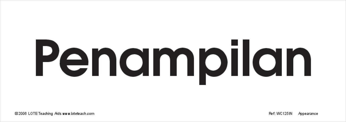 Appearance Word Cards