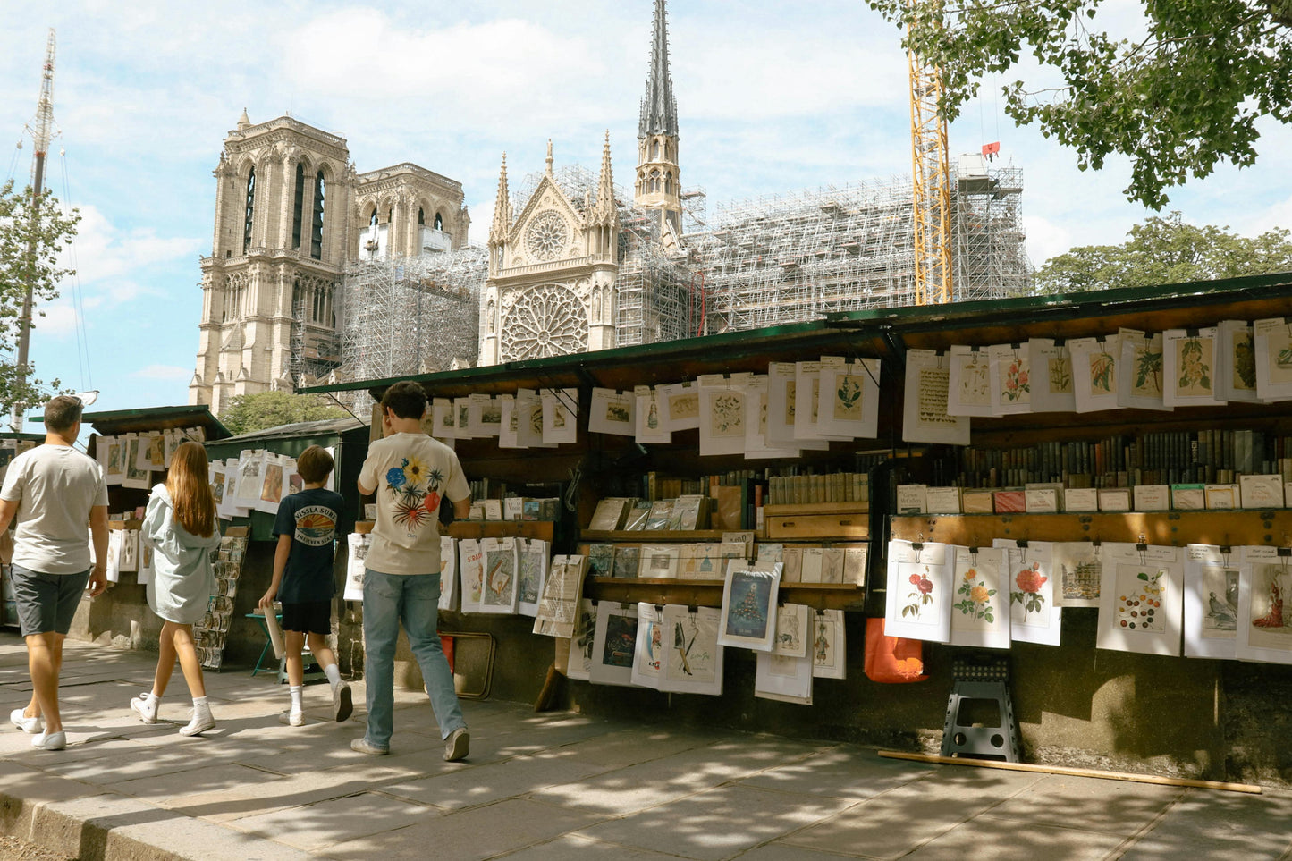 Paris Street Market and Notre-Dame
