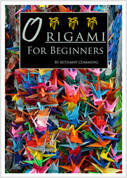 Origami for Beginners by Bethany Cumming