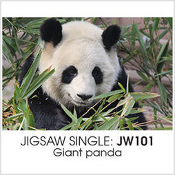 Jigsaw CH Giant Panda