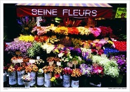 Flower stall in Latin Quarter