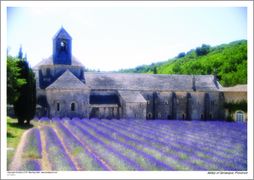 Abbey of Senanque, Provence