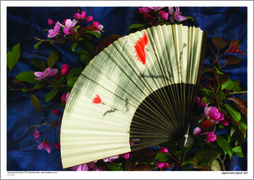 Japanese paper fan