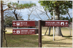 Signposts in Nara Park
